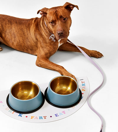 Eat Drink Fart Multicolor food mat