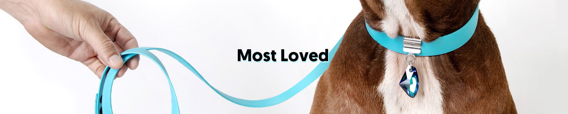Most Loved