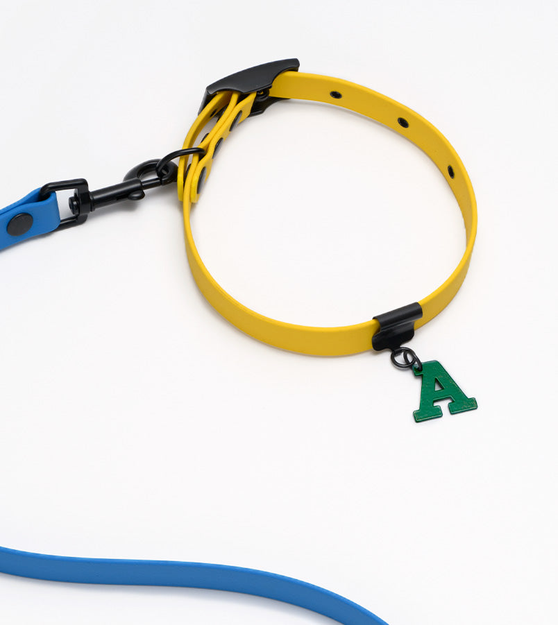 Summer Colorblock Set #1