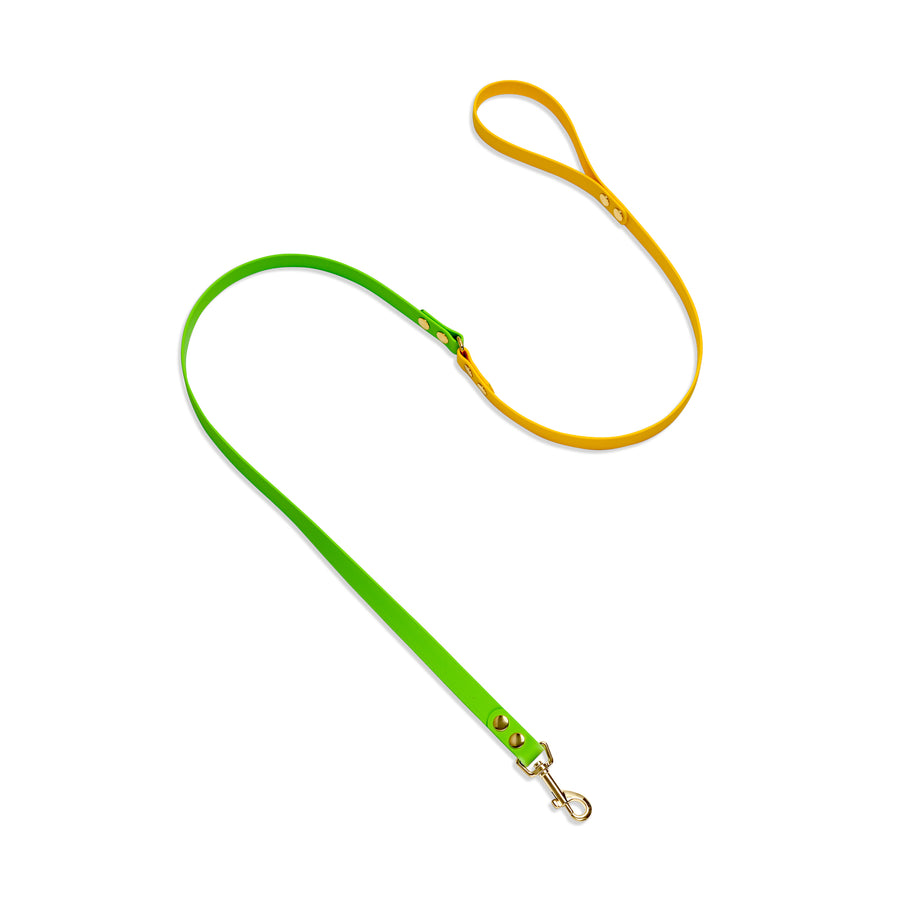DUO brklz Leash Yellow/Green