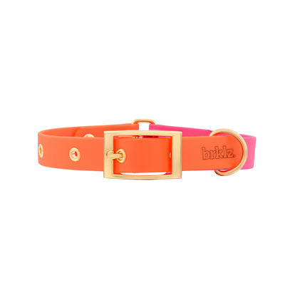 DUO brklz Collar Fuchsia/Orange