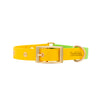 DUO brklz Collar Yellow/Green