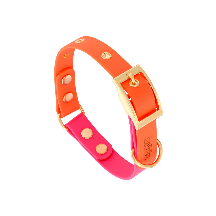 DUO brklz Collar Fuchsia/Orange