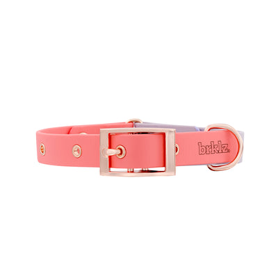 DUO brklz Collar Lavender/Coral