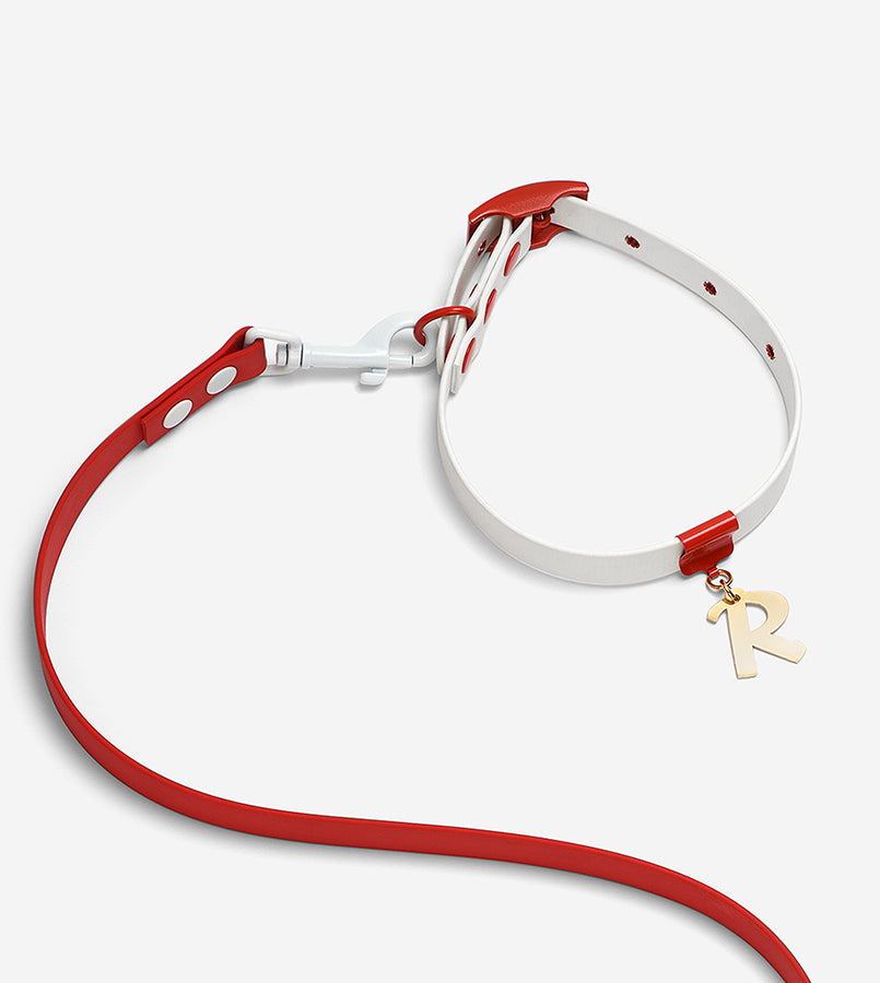 Santa Christmas Set: Limited Edition