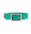 brklz Rose Gold Collar Turquoise