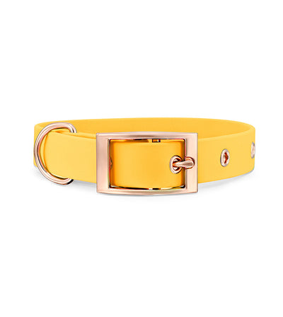 brklz Rose Gold Collar Yellow