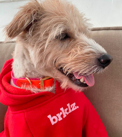 brklz Pups Mon Chéri Hoodie