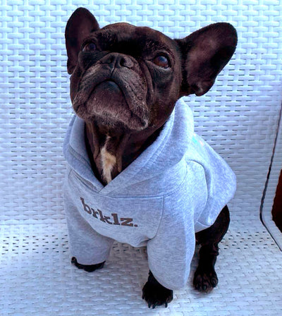 brklz Pups Stay Pawsitive Hoodie