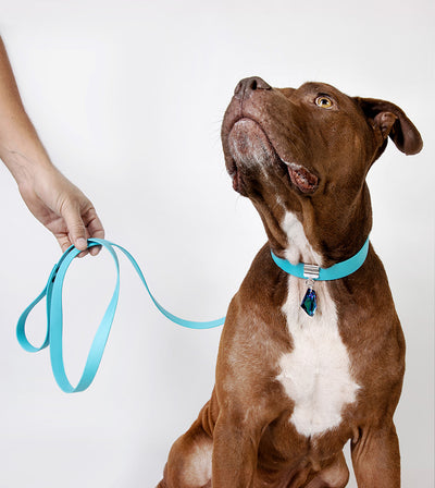 brklz Leash Blue