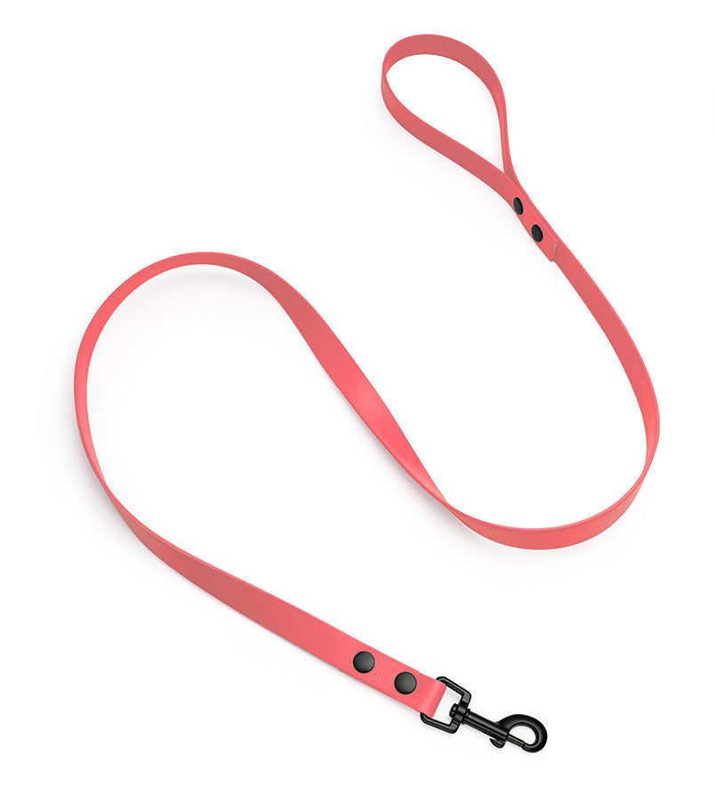 brklz Leash Coral