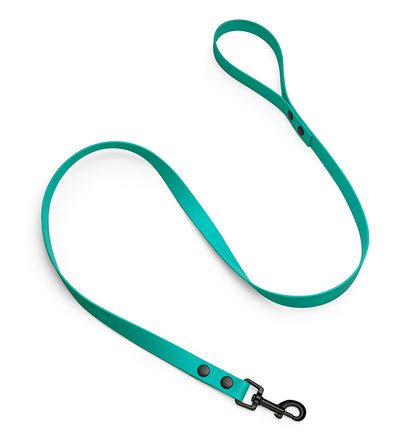 brklz Leash Turquoise