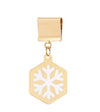 Snowflake Medallion brkl