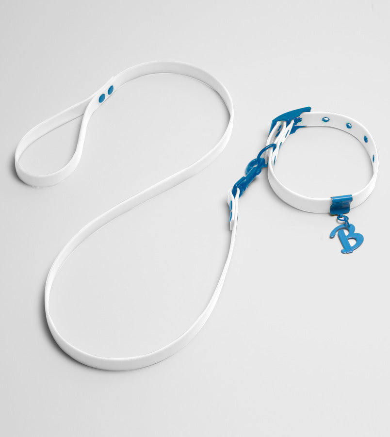 Set For Spring: Limited Edition