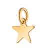 Gold-Star Charm