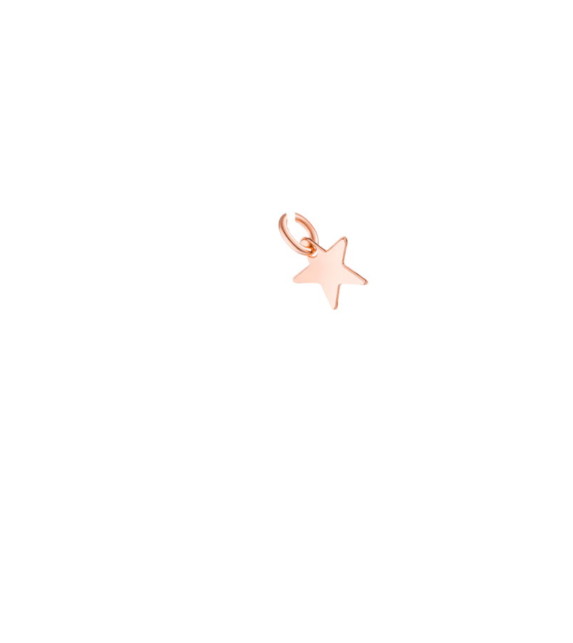 Rose-Star Charm